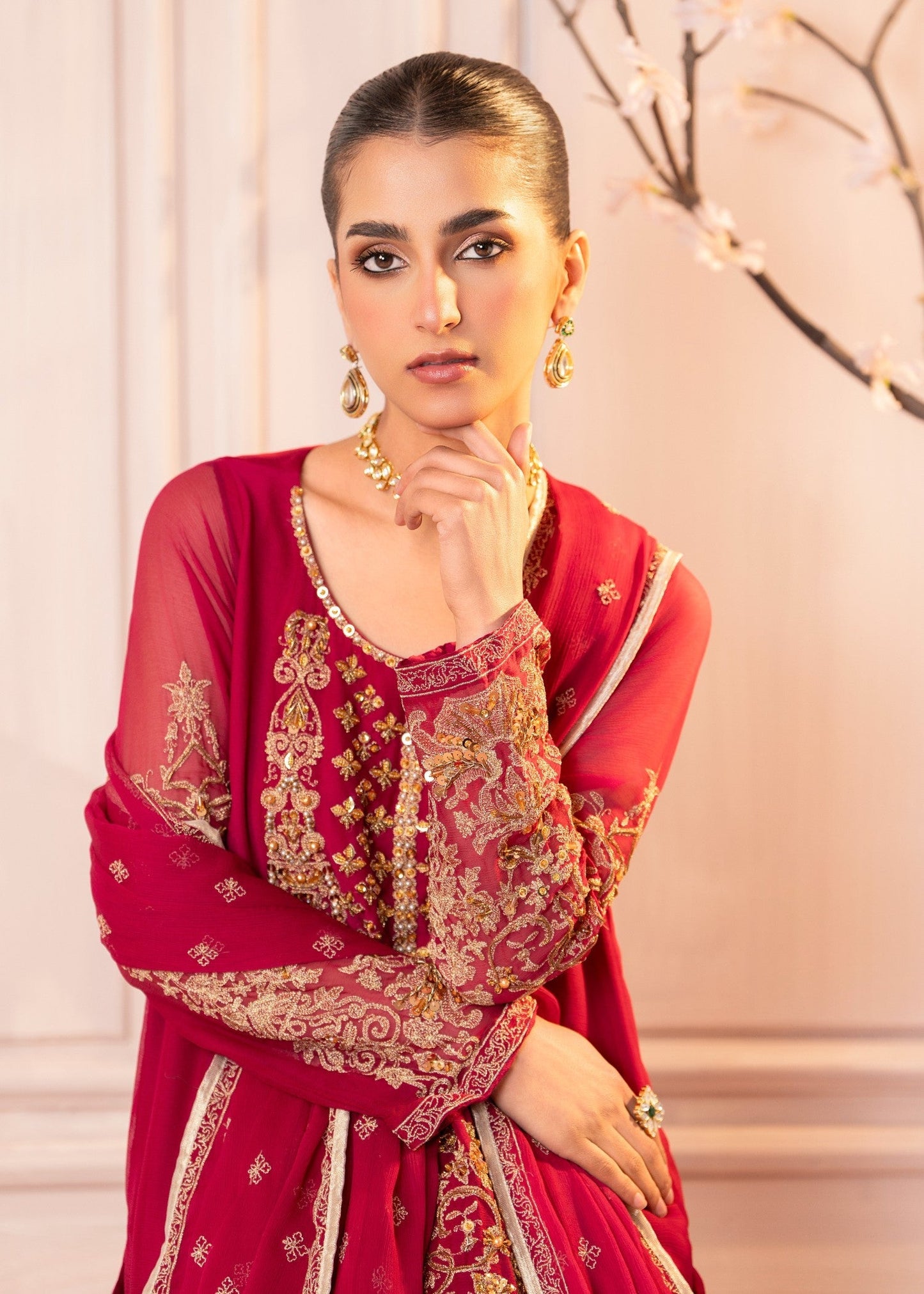 Chiffon Embroidered Raw Silk Suit Online in Sri Lanka India Australia