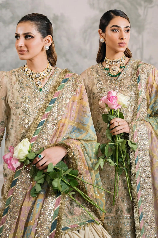 Beige Handmade Organza Partywear Suit