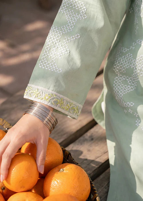 Pista Green Printed Embroidered Lawn Kurta Set