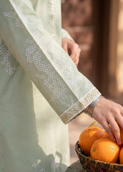 Pista Green Printed Embroidered Lawn Kurta Set