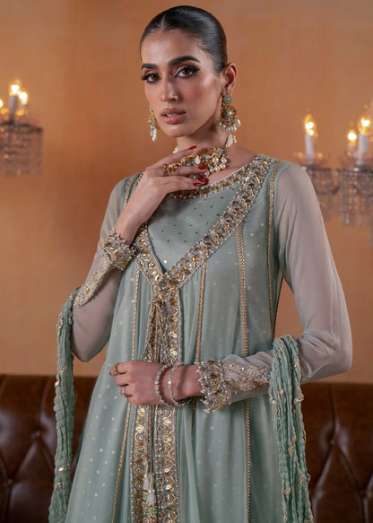 Pistachio Green Embellished Chiffon Gown-Style Suit