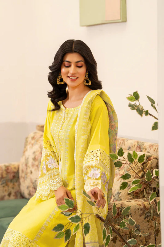 Firefly Yellow Pure Cotton Chikankari Suit