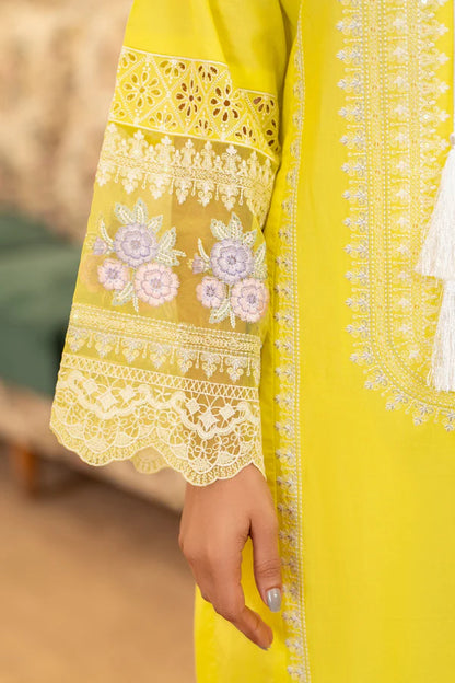 Firefly Yellow Pure Cotton Chikankari Suit