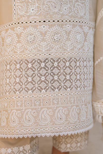 Beige Pure Cotton Suit with Matte Thread Work
