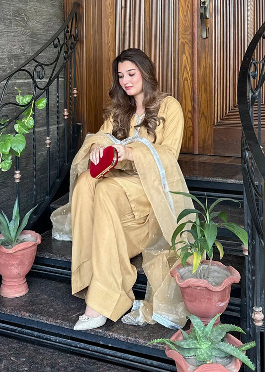 Gold Embellished Farshi Shalwar Suit