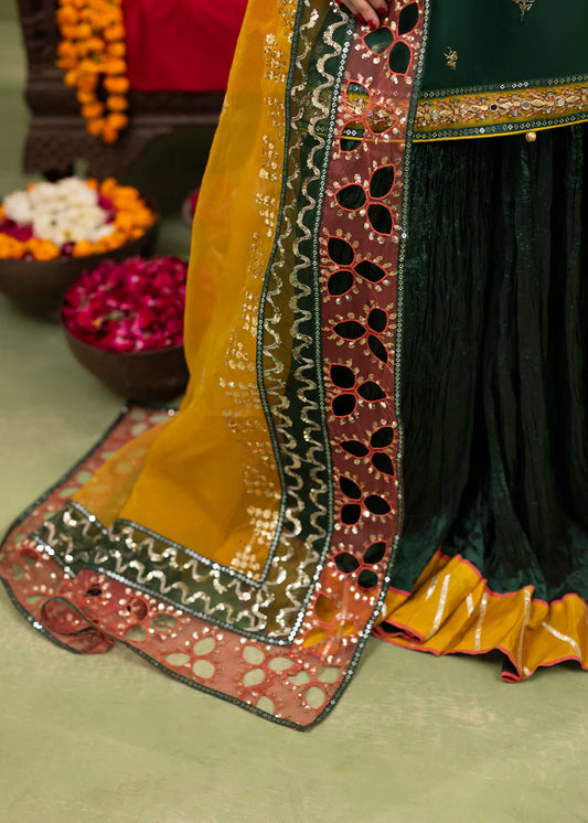 Green Organza Embellished Crushed Raw Silk Gharara