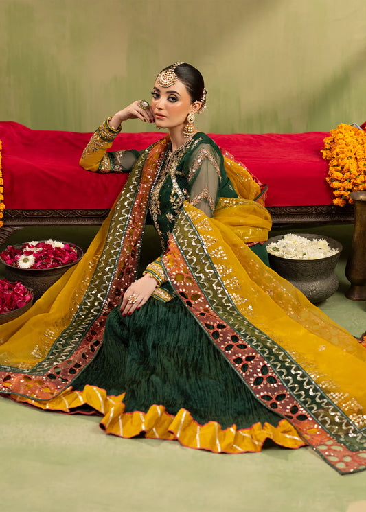 Green Organza Embellished Crushed Raw Silk Gharara