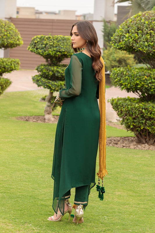 Green Hand Embroidered Pure Chiffon Suit