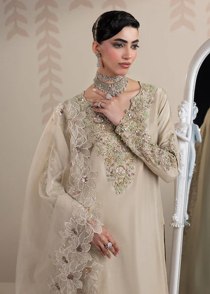 Elegant Ivory Grey Embellished Raw Silk Suit