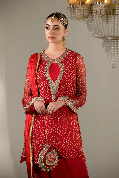 Hand Embroidered Chiffon Chunnari Farshi Shalwar Suit