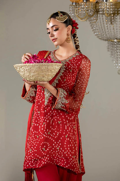 Hand Embroidered Chiffon Chunnari Farshi Shalwar Suit