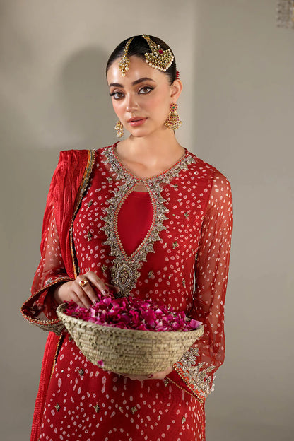 Hand Embroidered Chiffon Chunnari Farshi Shalwar Suit