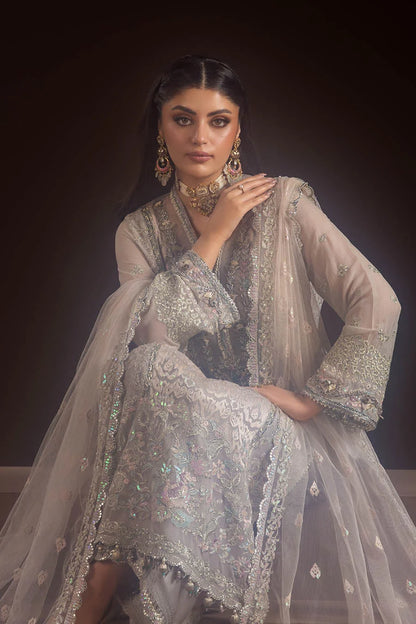 Hand Embroidered Pure Crinkle Chiffon Suit