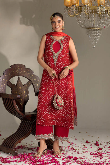 Hand Embroidered Chiffon Chunnari Suit