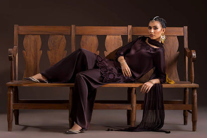 Glass Silk Partywear Suit with Velvet Details