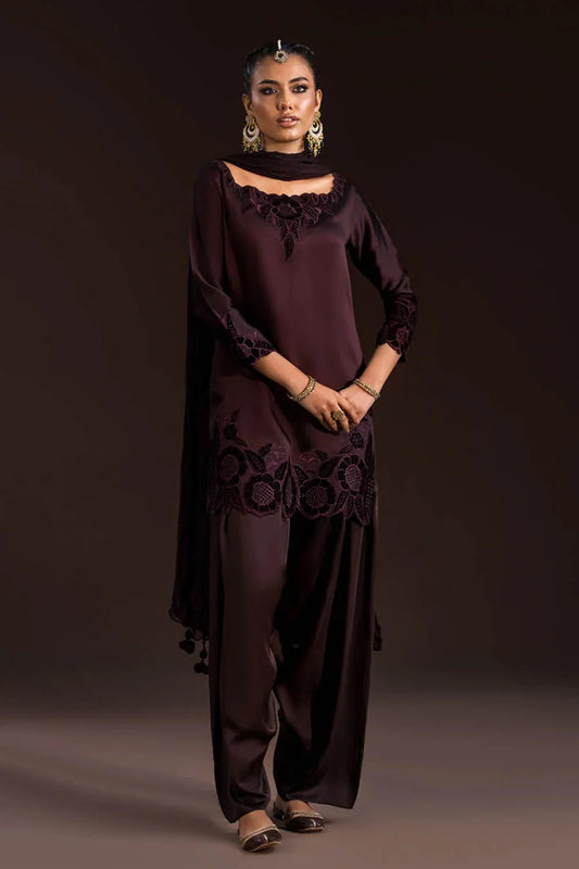 Glass Silk Partywear Suit with Velvet Details