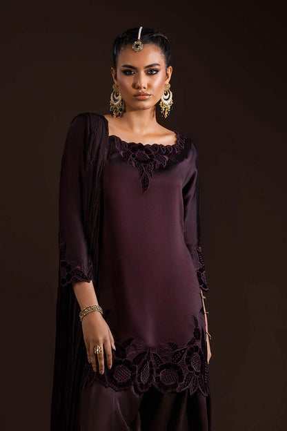 Glass Silk Partywear Suit with Velvet Details