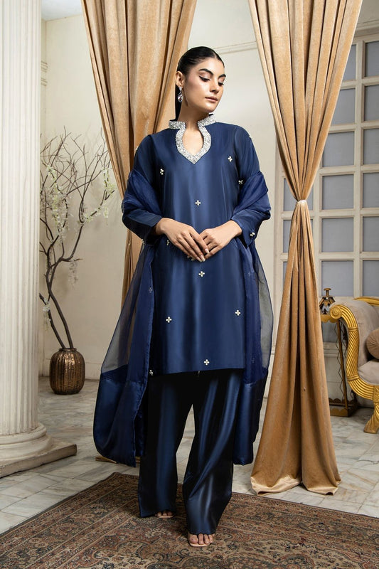 Navy Blue Hand Embellished Kattan Silk Farshi Suit