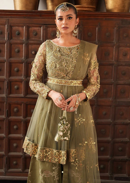 Olive Green Peplum Sharara