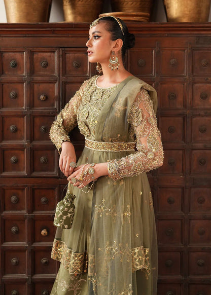 Olive Green Peplum Sharara