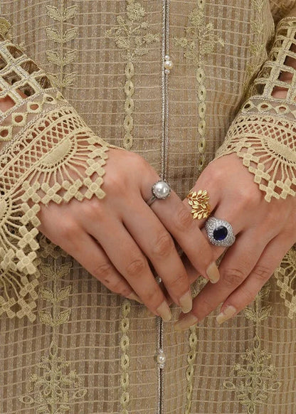 Beige Embellished Suit with Cutwork Details
