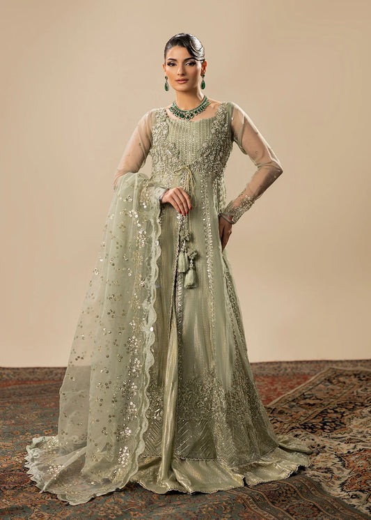 Pistachio Hand Embellished Organza Maxi
