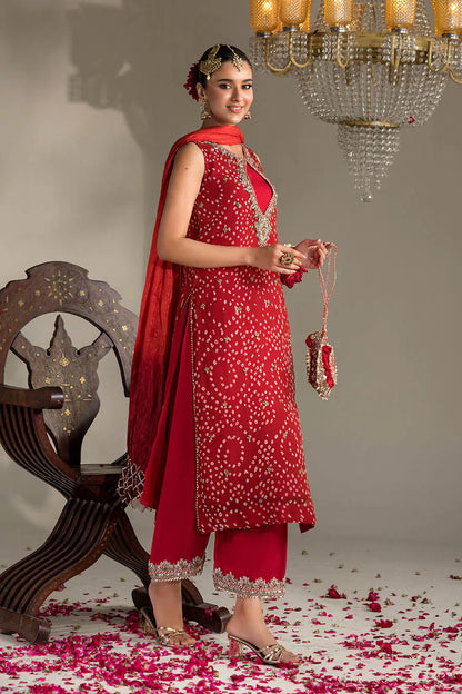 Hand Embroidered Chiffon Chunnari Suit