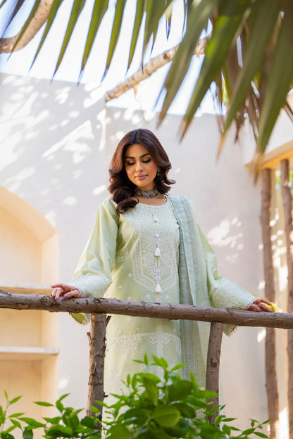 Pistachio Pure Cotton Suit with Matte Thread Work
