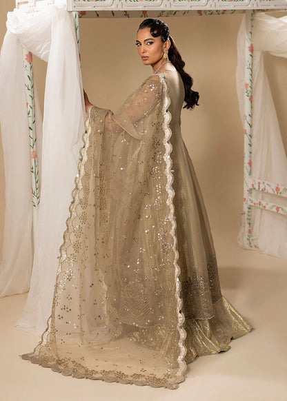 Gold Hand Embellished Organza Maxi