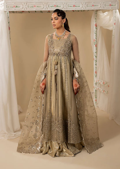 Gold Hand Embellished Organza Maxi