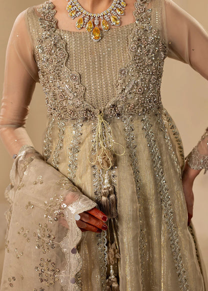 Gold Hand Embellished Organza Maxi
