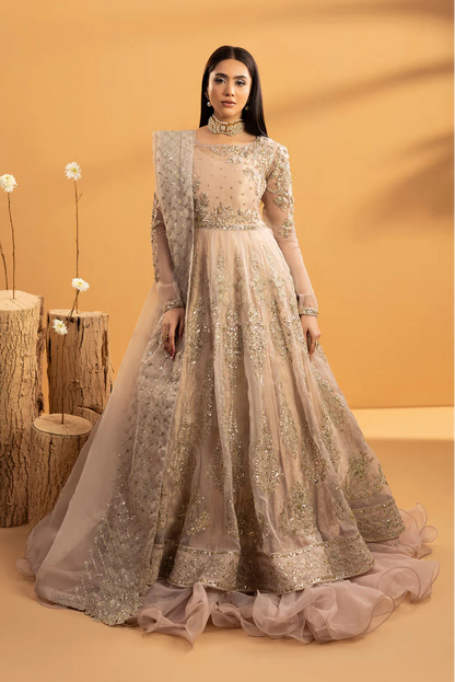 Powder Pink Embellished Organza Maxi