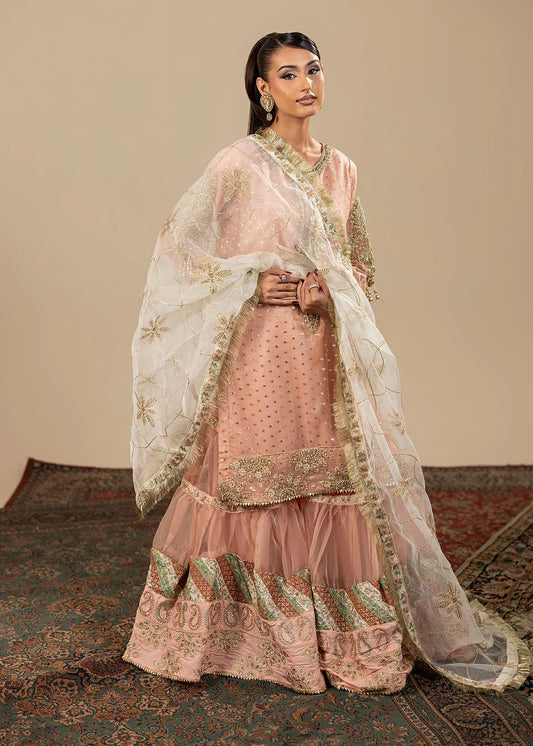 Blush Pink Embellished Flared Gharara