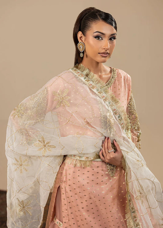 Blush Pink Embellished Flared Gharara