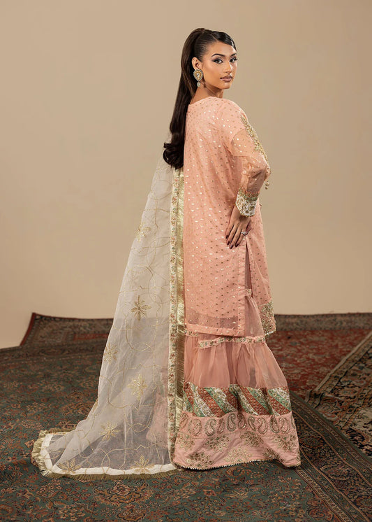 Blush Pink Embellished Flared Gharara