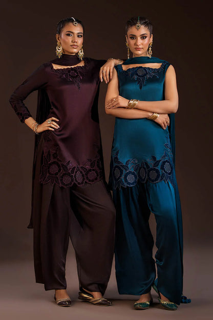 Glass Silk Partywear Suit with Velvet Details