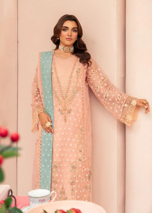 Peach Pink Organza Embellished Suit