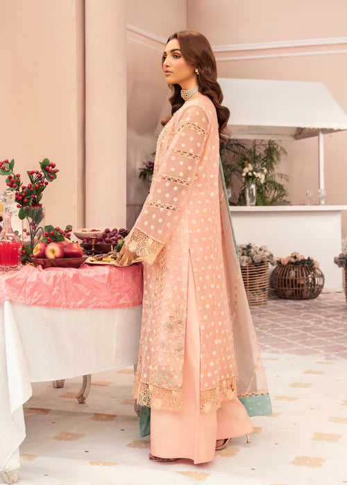 Peach Pink Organza Embellished Suit