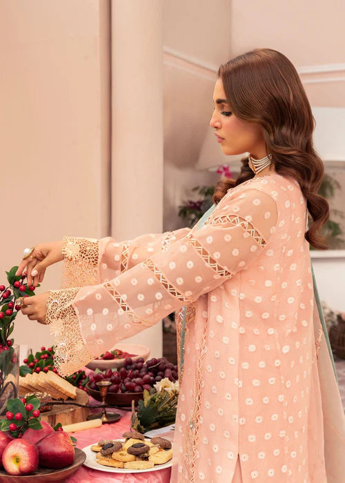 Peach Pink Organza Embellished Suit