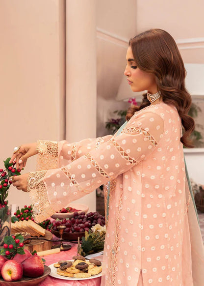 Peach Pink Organza Embellished Suit