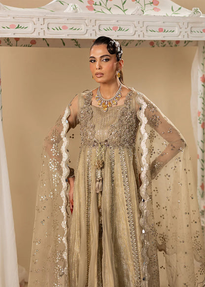 Gold Hand Embellished Organza Maxi