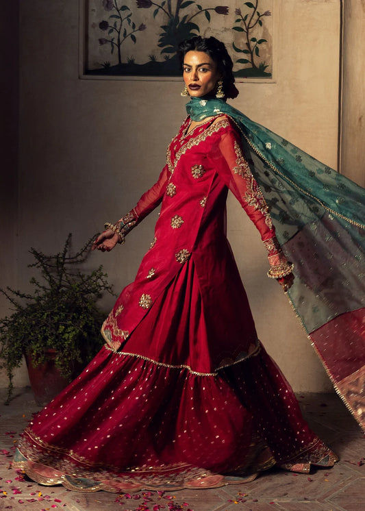 Burgundy Embellished Organza Gharara