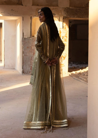 Olive Green Embellished Tissue Sharara