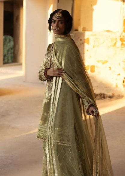 Olive Green Embellished Tissue Sharara