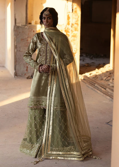 Olive Green Embellished Tissue Sharara