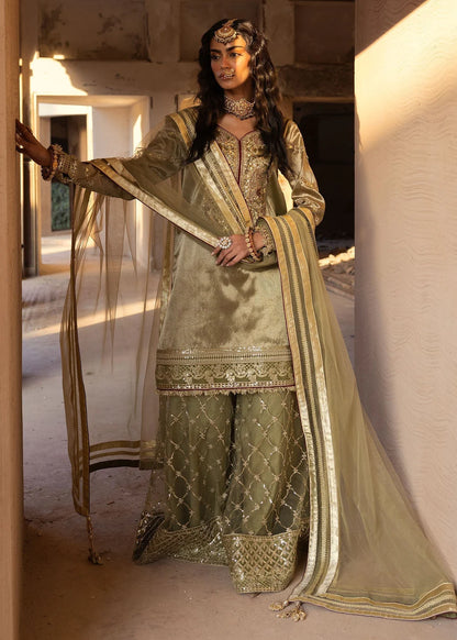 Olive Green Embellished Tissue Sharara
