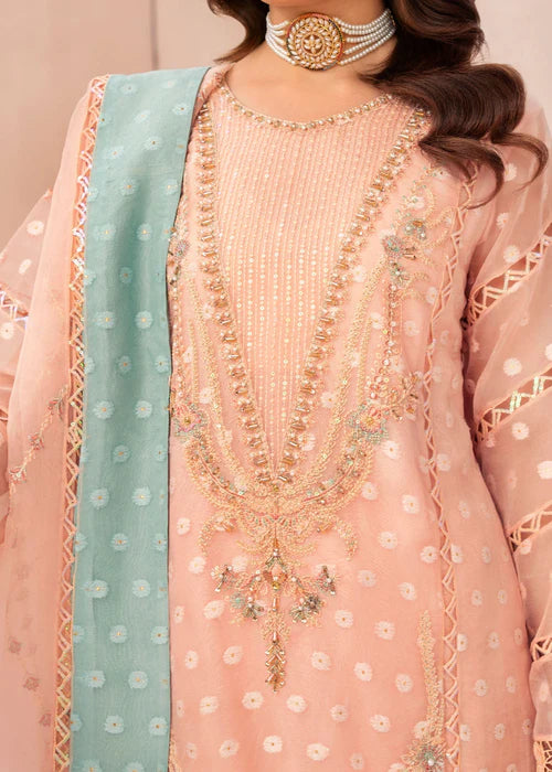 Peach Pink Organza Embellished Suit