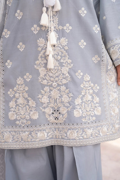 Dove Grey Richly Embroidered Farshi Shalwar Suit