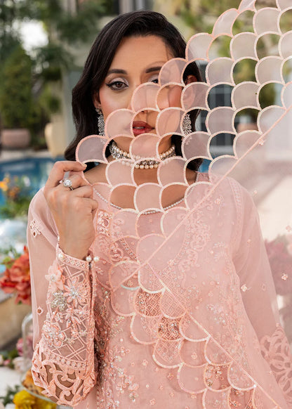 Peach Pink Soft Organza Embellished Suit