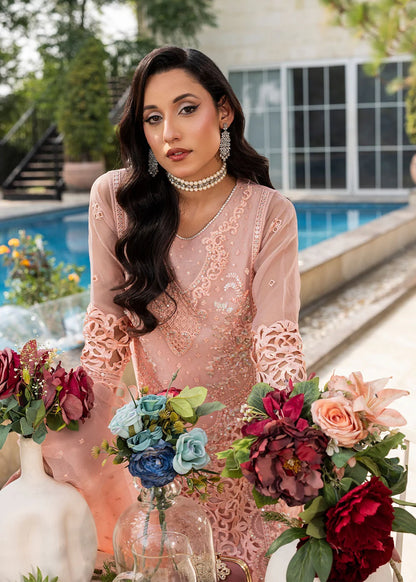 Peach Pink Soft Organza Embellished Suit